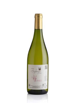 Les 4 Vignes- 2024